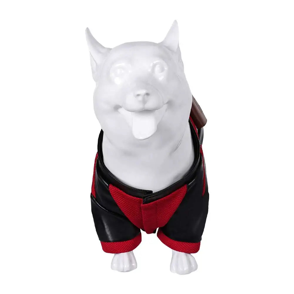 Pet Dogpool Costume